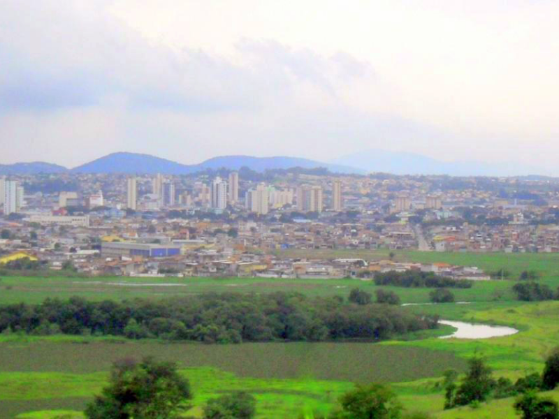 Suzano
