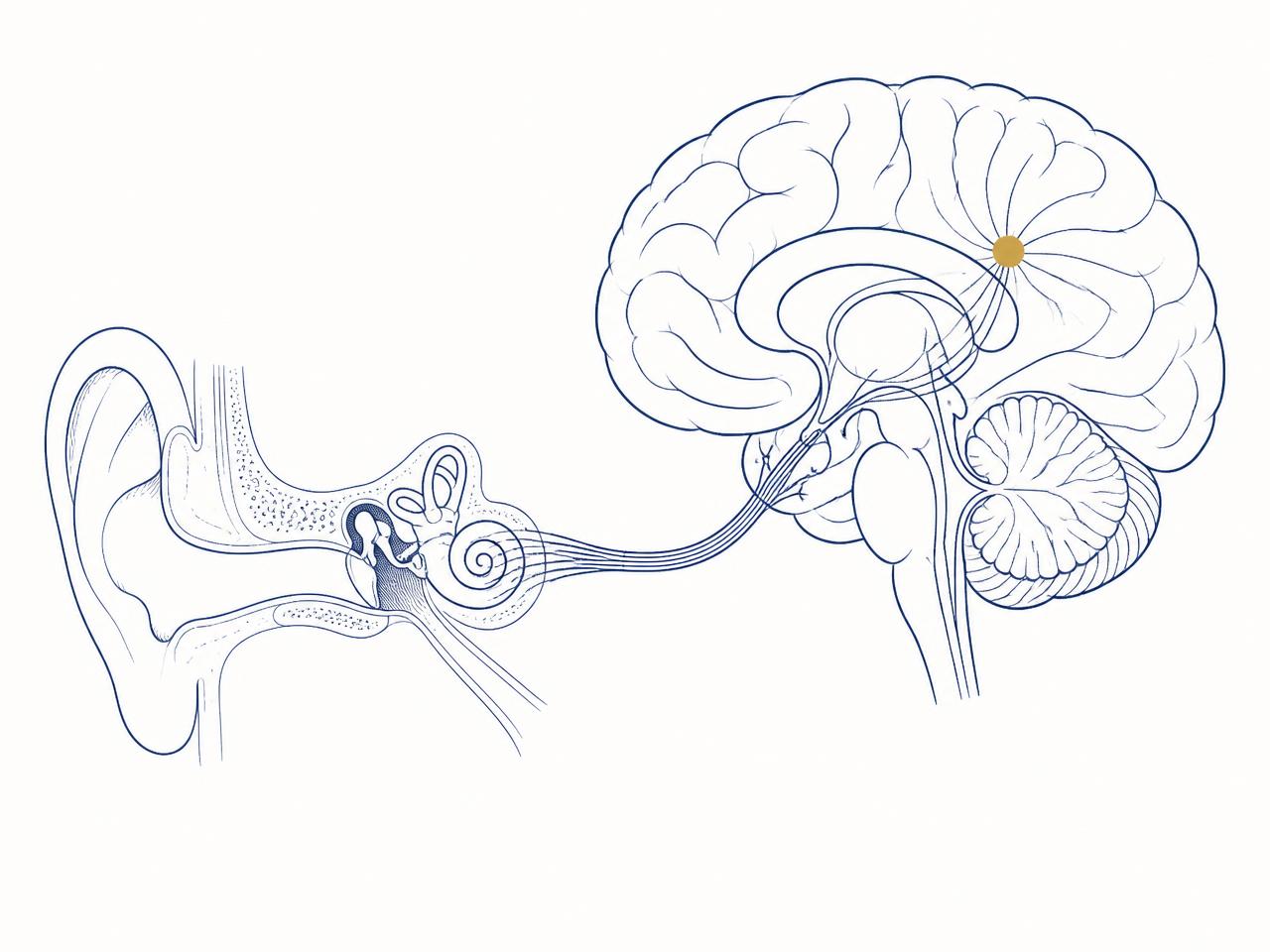 Ilustração conceitual da percepção do zumbido, ondas sonoras ao redor da orelha em tons de azul, fundo claro