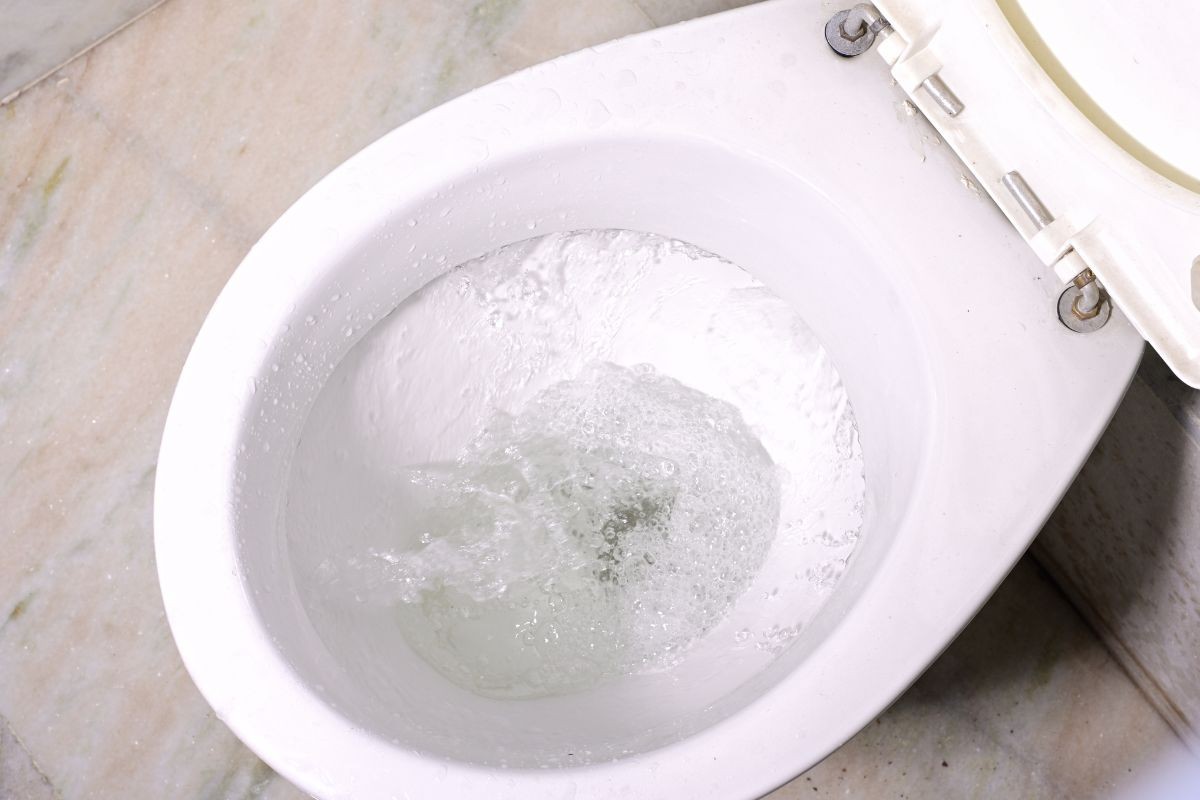 VASO ENTUPIDO E ÁGUA SUBINDO: CAUSAS, RISCOS, SOLUÇÕES E COMO EVITAR PROBLEMAS GRAVES NA SUA CASA OU EMPRESA
