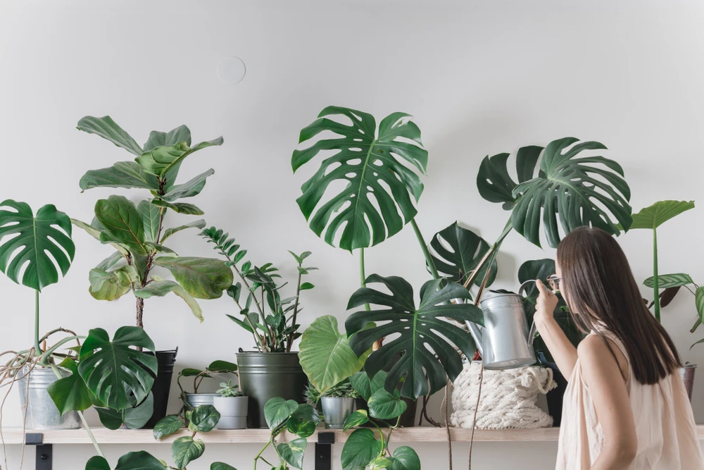 Dicas de como criar uma área verde em apartamento