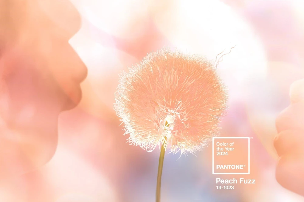 Cor do Ano Pantone 2024: incorpore em seus móveis planejados