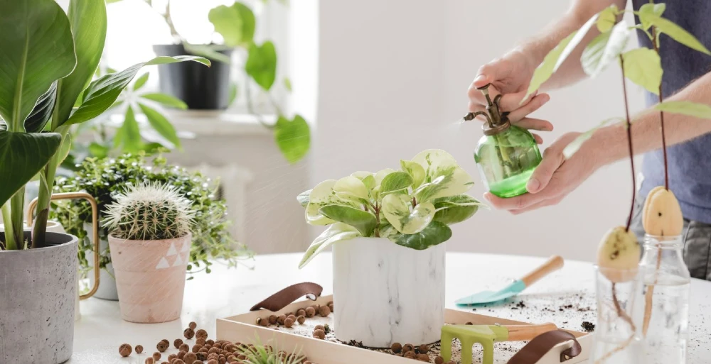 6 dicas para aproveitar o tempo em casa