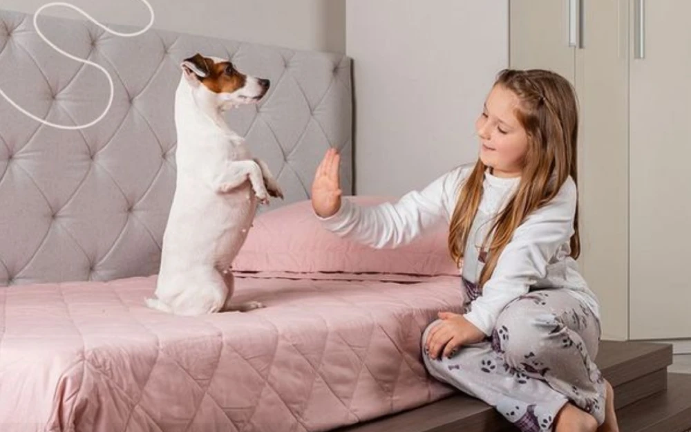 5 dicas para deixar a sua casa mais aconchegante
