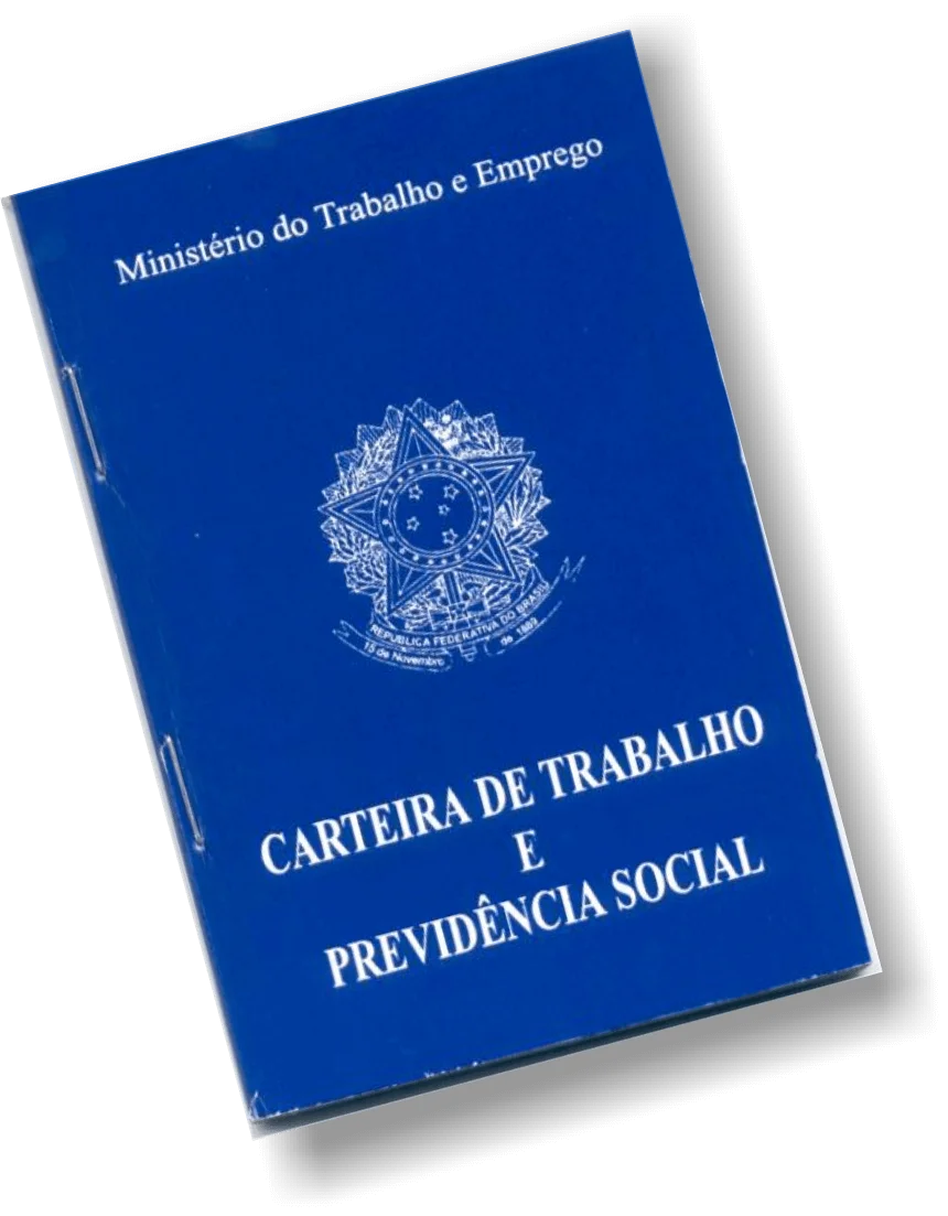 Sem Carteira Assinada